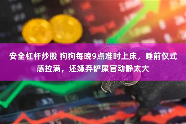 安全杠杆炒股 狗狗每晚9点准时上床，睡前仪式感拉满，还嫌弃铲屎官动静太大